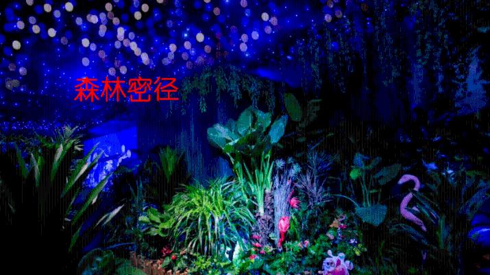 破碎的世界4
